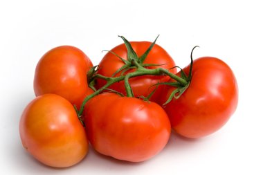 kırmızı domates