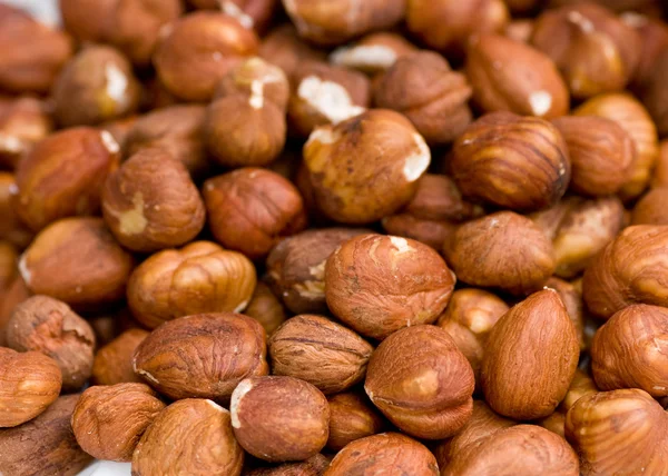 stock image Hazelnuts