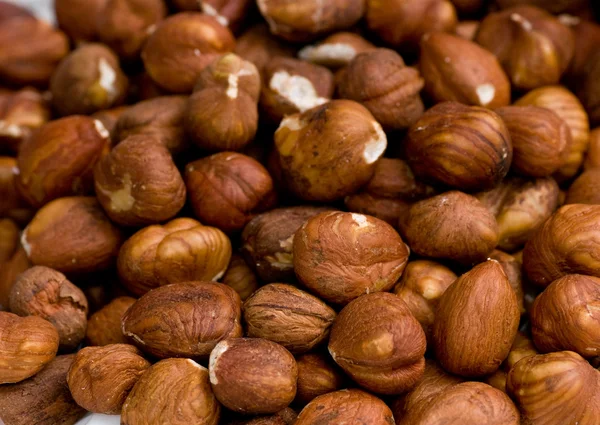 stock image Hazelnuts