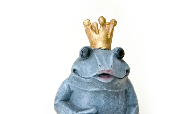 Prince frog — Stockfoto