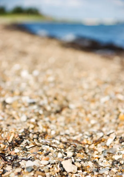 Plaża makro — Zdjęcie stockowe
