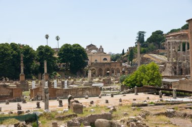 Forum Romanum: