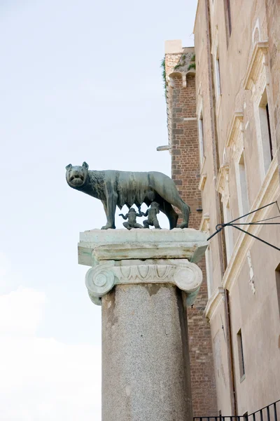 Mãe lobo romano — Fotografia de Stock