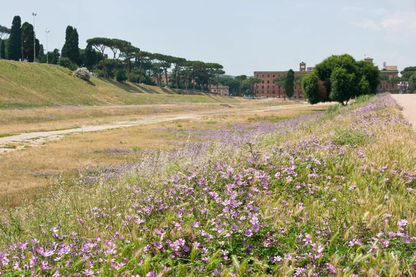 Circo massimo, Roma