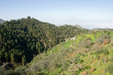 gran canaria manzara