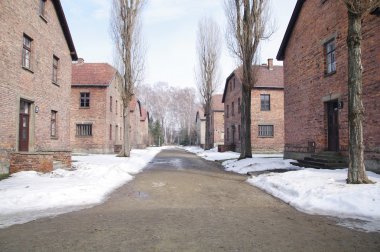 Auschwitz, Polonya ölüm kampı