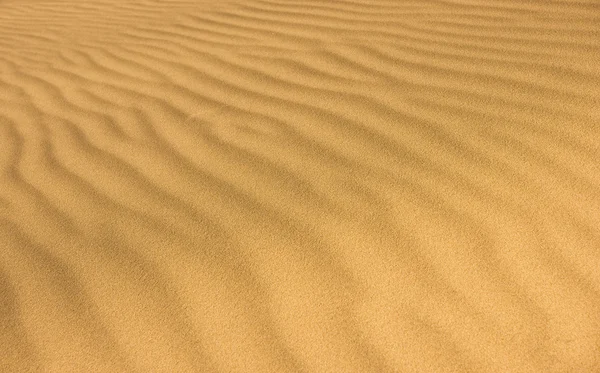 stock image Desert sand