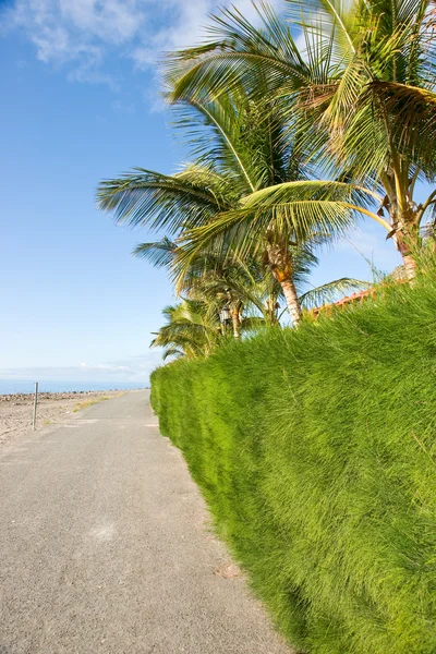 Tropical beach walk — Stock Photo, Image
