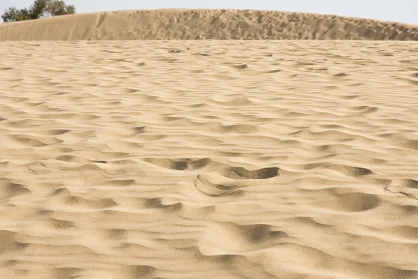 사막의 모래 — 스톡 사진