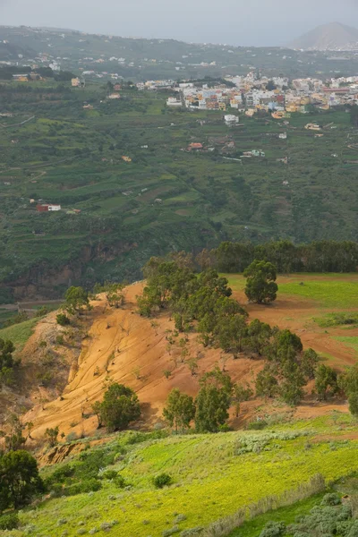 Gran Canaria Landschaft — Stockfoto