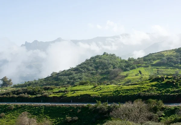 Gran Canaria Landschaft — Stockfoto