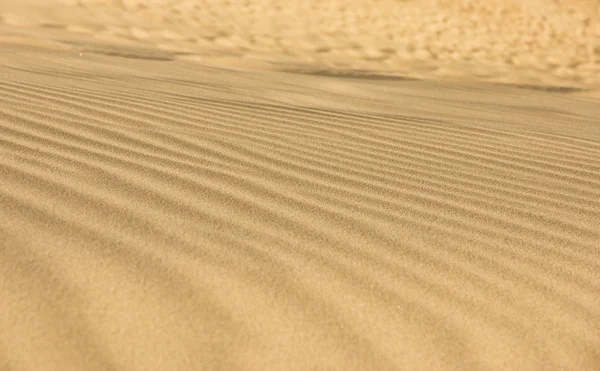 stock image Desert sand