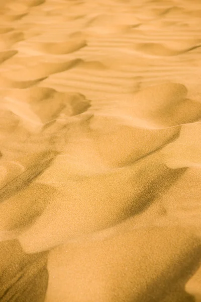 Пустельних пісків — стокове фото