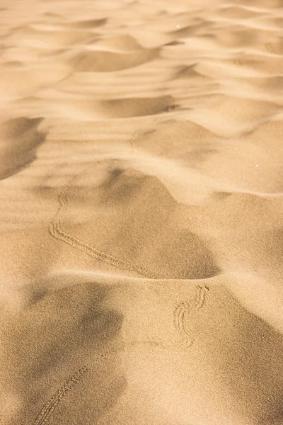 stock image Desert sand