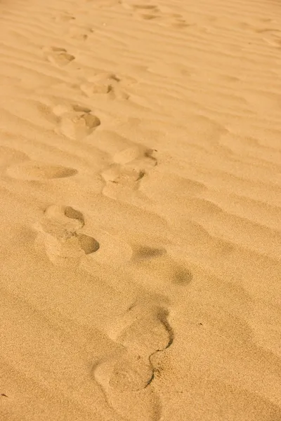 Stock image Foot prints in the sand