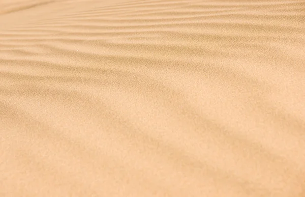 stock image Desert sand