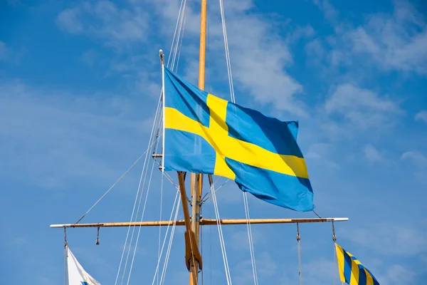 Svensk flag - Stock-foto