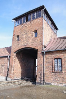 imha kampı, auschwitz Birkenau'da