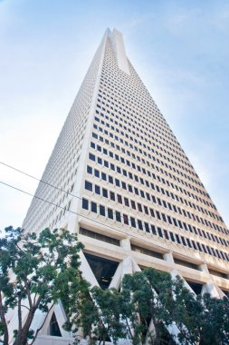 Transamerica pyramid şafak