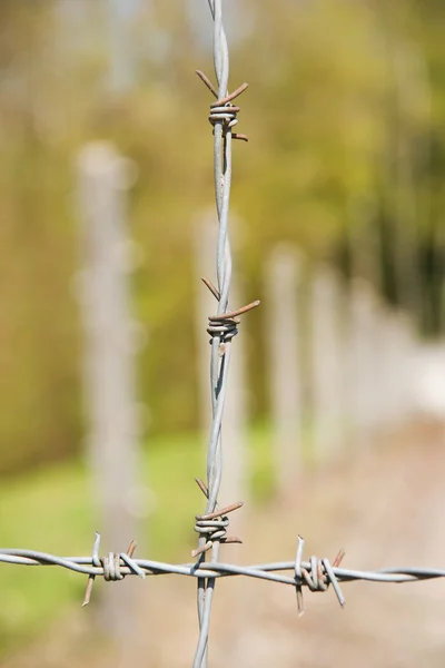 Barb Wire Fence in Dachau — Stock Photo, Image