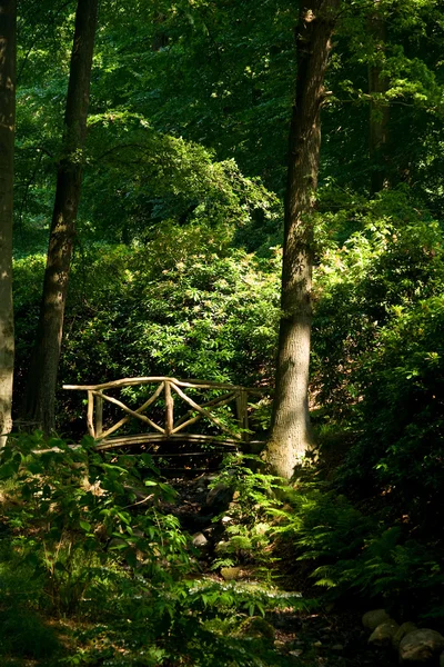 Bella vista di un piccolo ponte di legno — Foto Stock