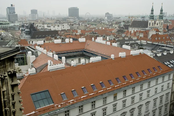 Червоні дахи Відень горизонт — стокове фото