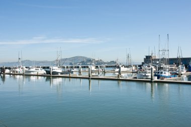 balıkçı tekneleri sf Harbour