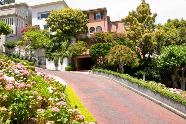 stock image Lombard street in SF