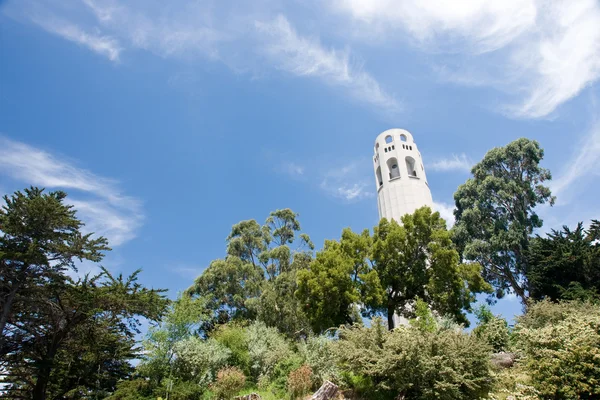 Coit tower SF — Stock Photo, Image