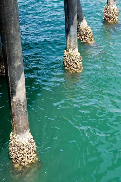 Pilastri del molo — Foto Stock