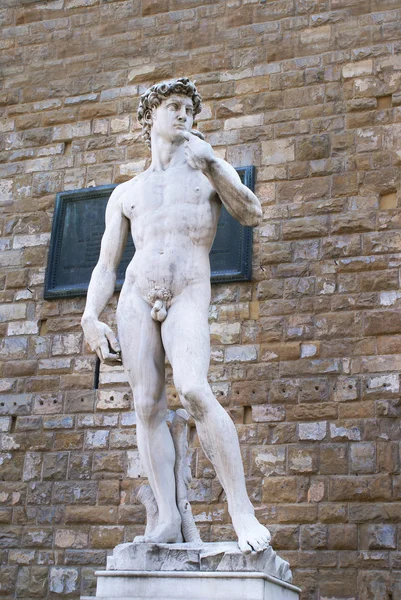 stock image Replica of David statue by Michelangelo in Piazza della Signoria