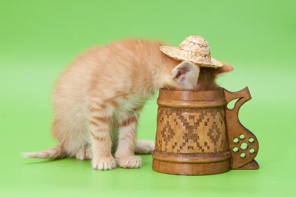 Ginger kitten and carved mug — Stock Photo, Image