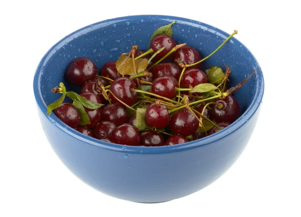 蓝色碗里的樱桃 — 图库照片