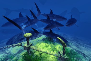 Köpekbalıkları ve çapa