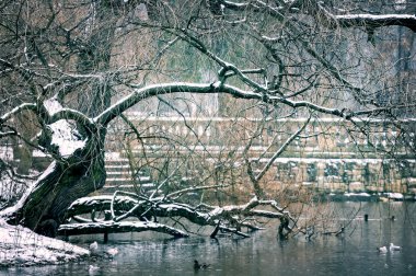 Japanese Garden in Winter clipart