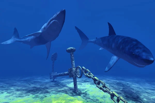 Tubarões e âncora — Fotografia de Stock