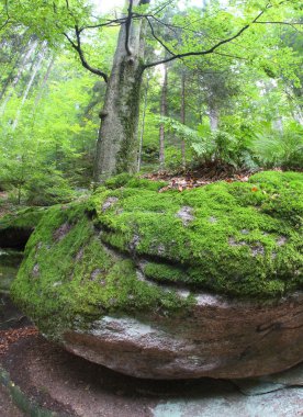 karkonowski Milli Parkı, Polonya