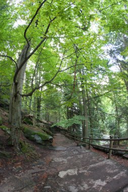 karkonowski Milli Parkı, Polonya