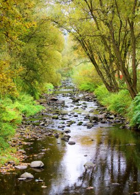 Photograph of the creek in the countryside clipart