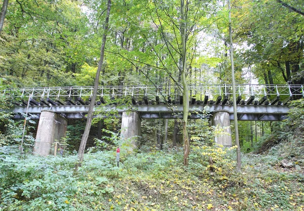 Viaducto antiguo en el sur de Polonia —  Fotos de Stock