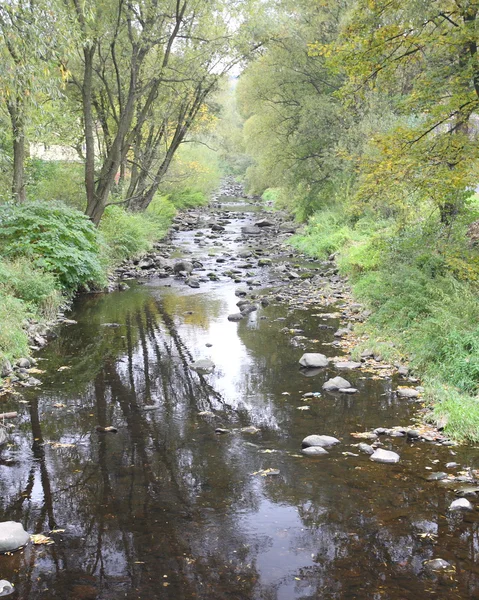 Creek, Polen — Stockfoto
