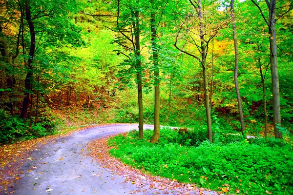 stock image Winding road