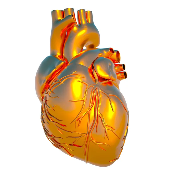 Model lidského srdce - srdce ze zlata — Stock fotografie