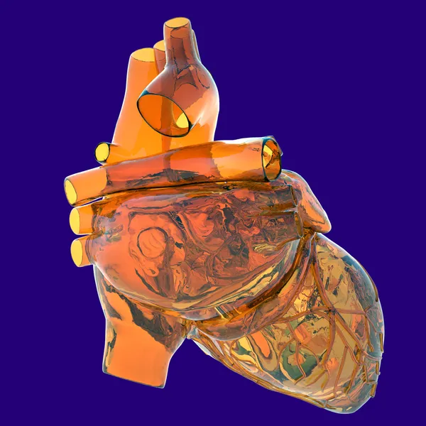 İnsan kalbi camdan - model — Stok fotoğraf