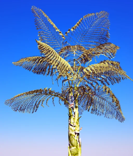 Thaise berg reus palm — Stockfoto