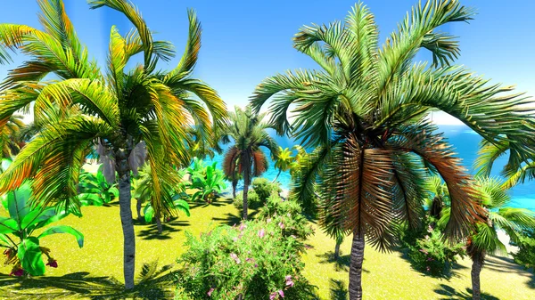 Hawaiian cennet — Stok fotoğraf