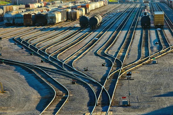 Vonattal a marhavagon — Stock Fotó