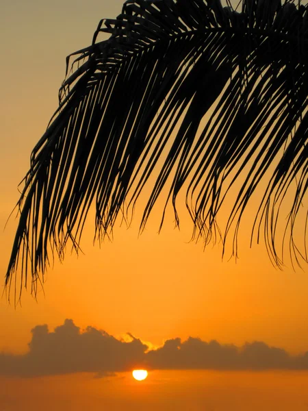 Sommar solnedgång — Stockfoto