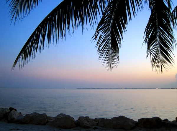 The beach — Stock Photo, Image