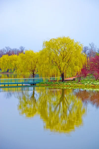 stock image Autumn reflection